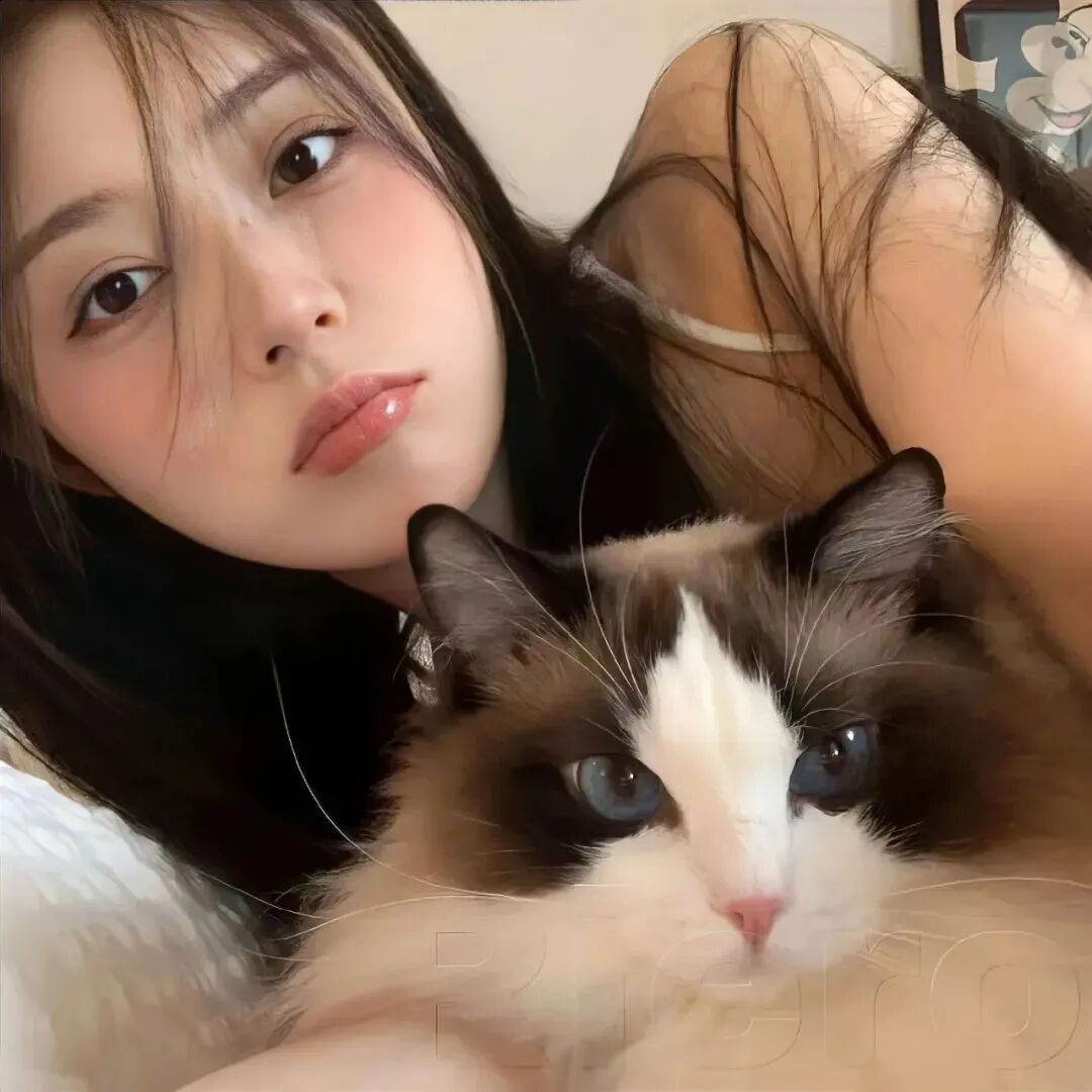抱着猫咪温柔女生头像