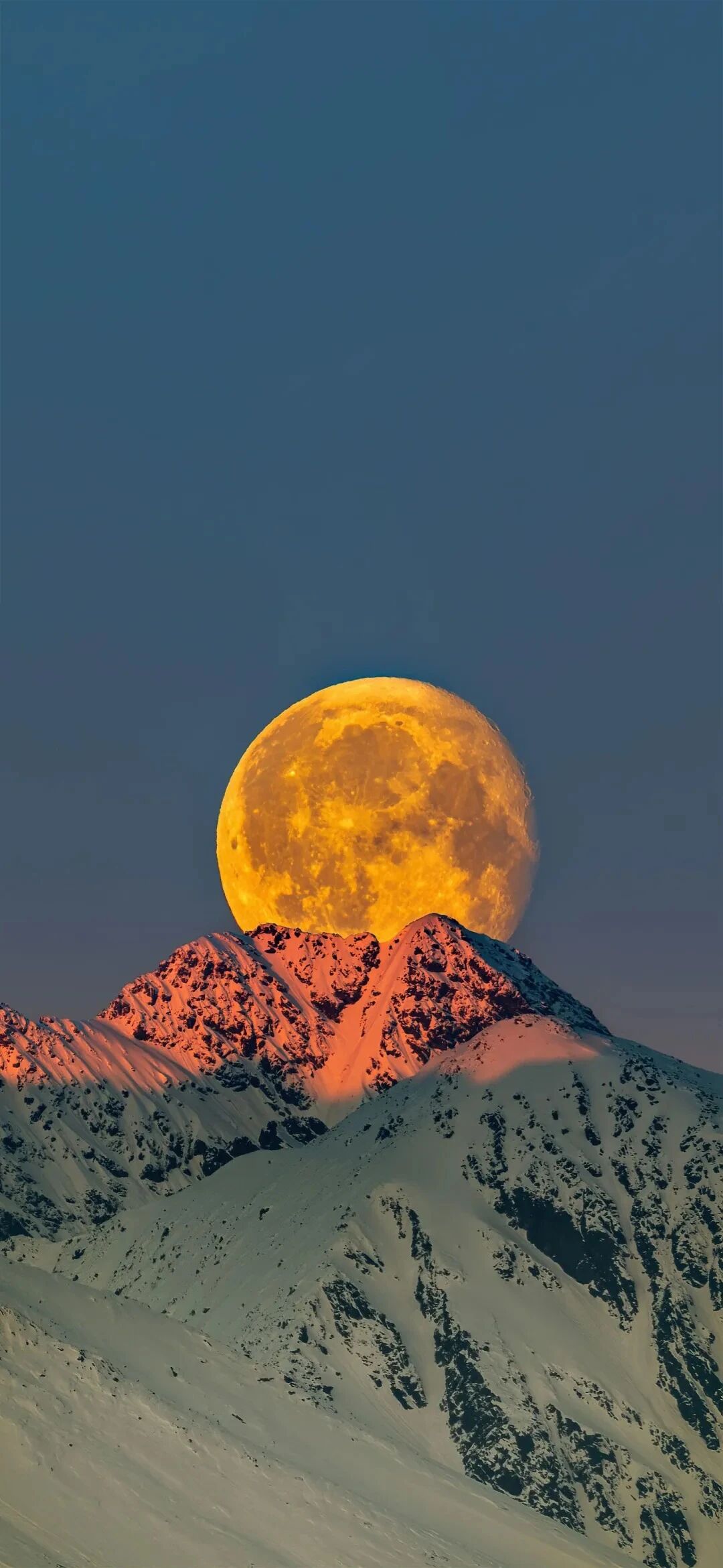 风景