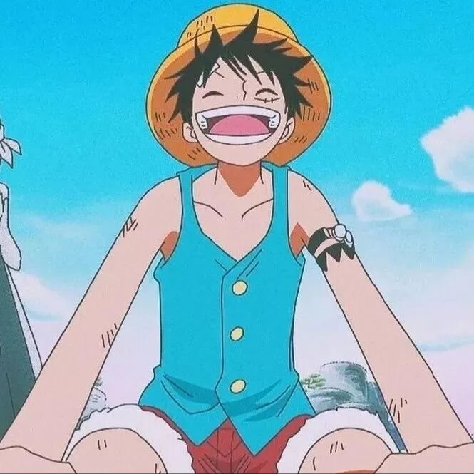 动漫 动漫头像 动漫男头 动漫头像男 海贼王 海贼王头像