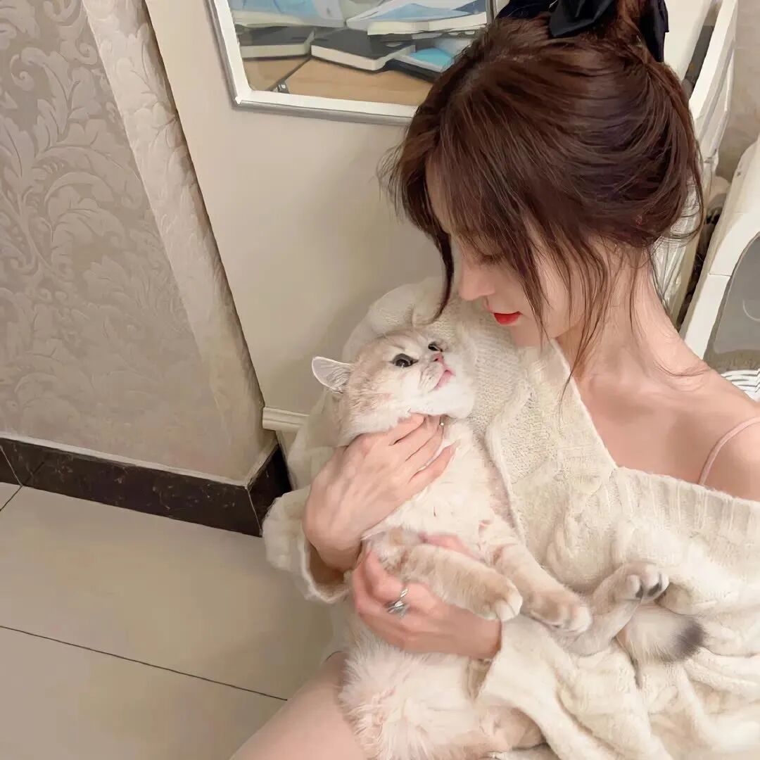 抱着猫咪温柔侧脸女生头像