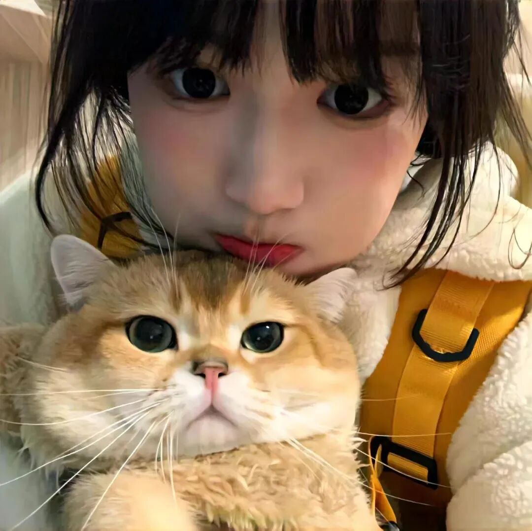抱着猫咪甜妹女生头像