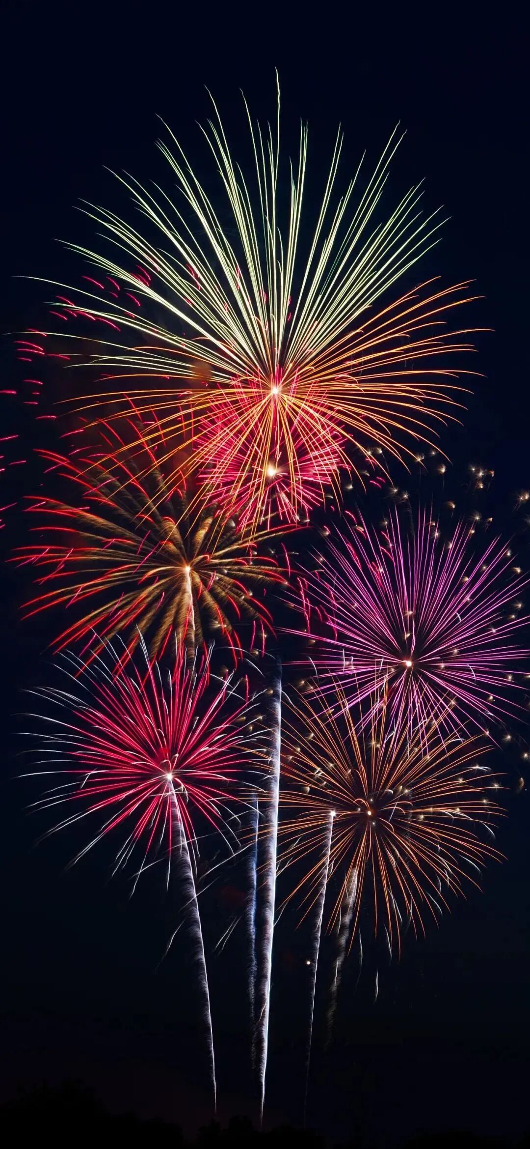 新年