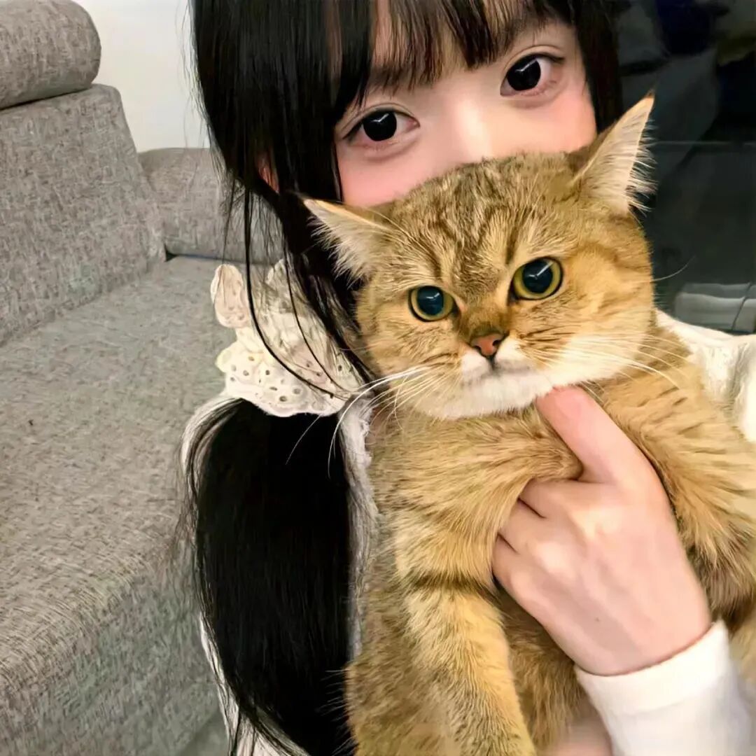 抱着猫咪甜妹女生头像