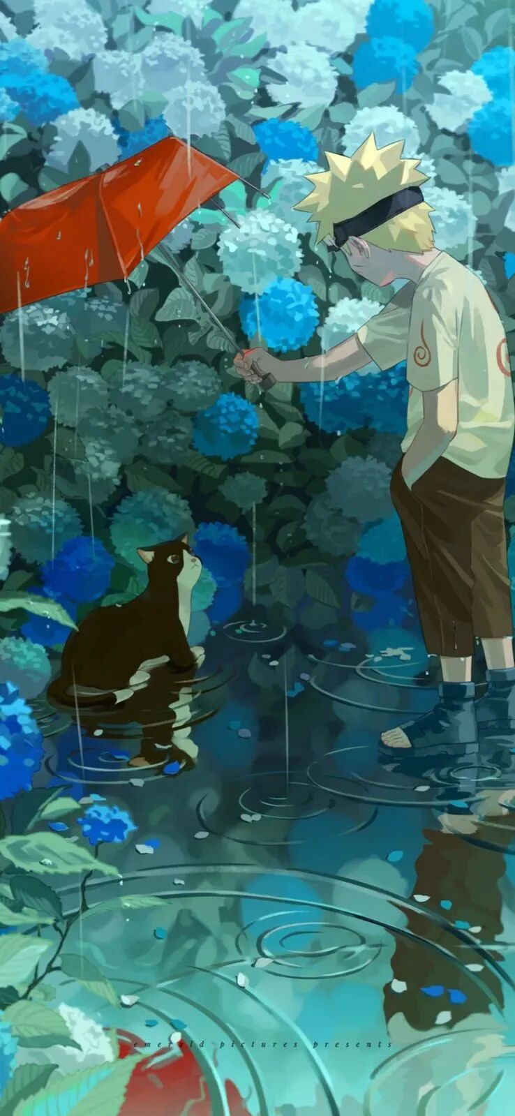 动漫