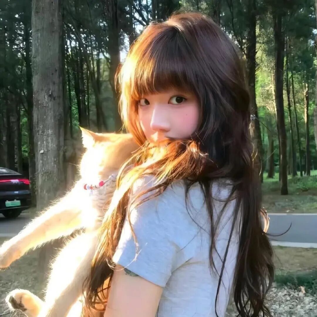 抱着猫咪光感女生头像