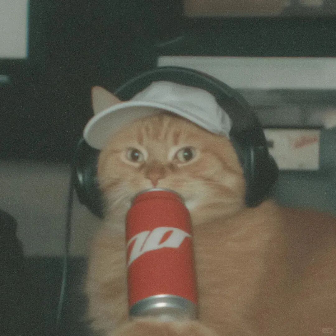 喝饮料猫咪萌宠头像