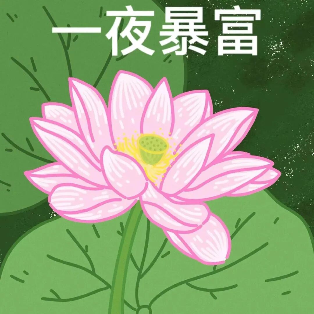 六人闺蜜头像荷花头像带字头像搞怪头像沙雕头像