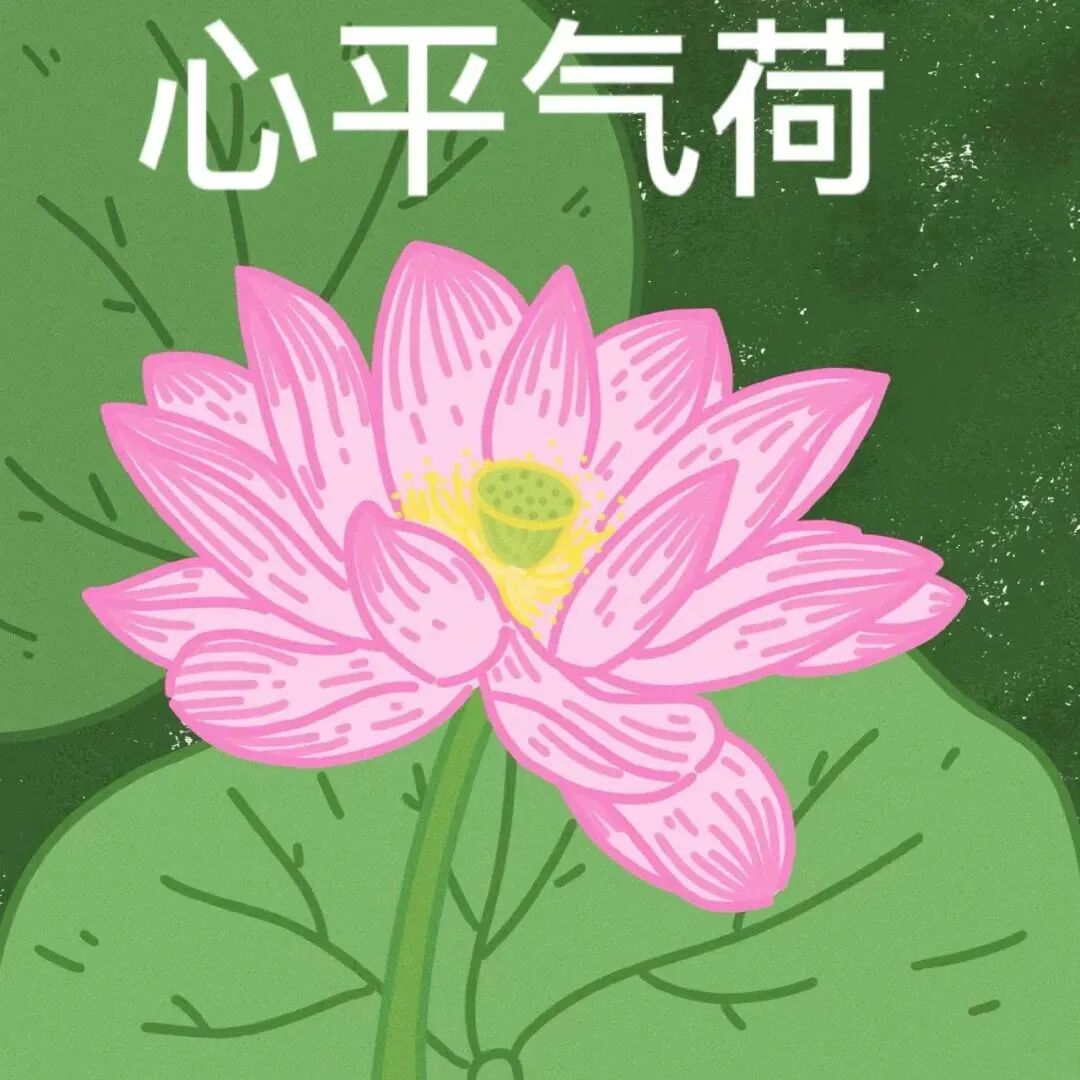 六人闺蜜头像荷花头像带字头像搞怪头像沙雕头像