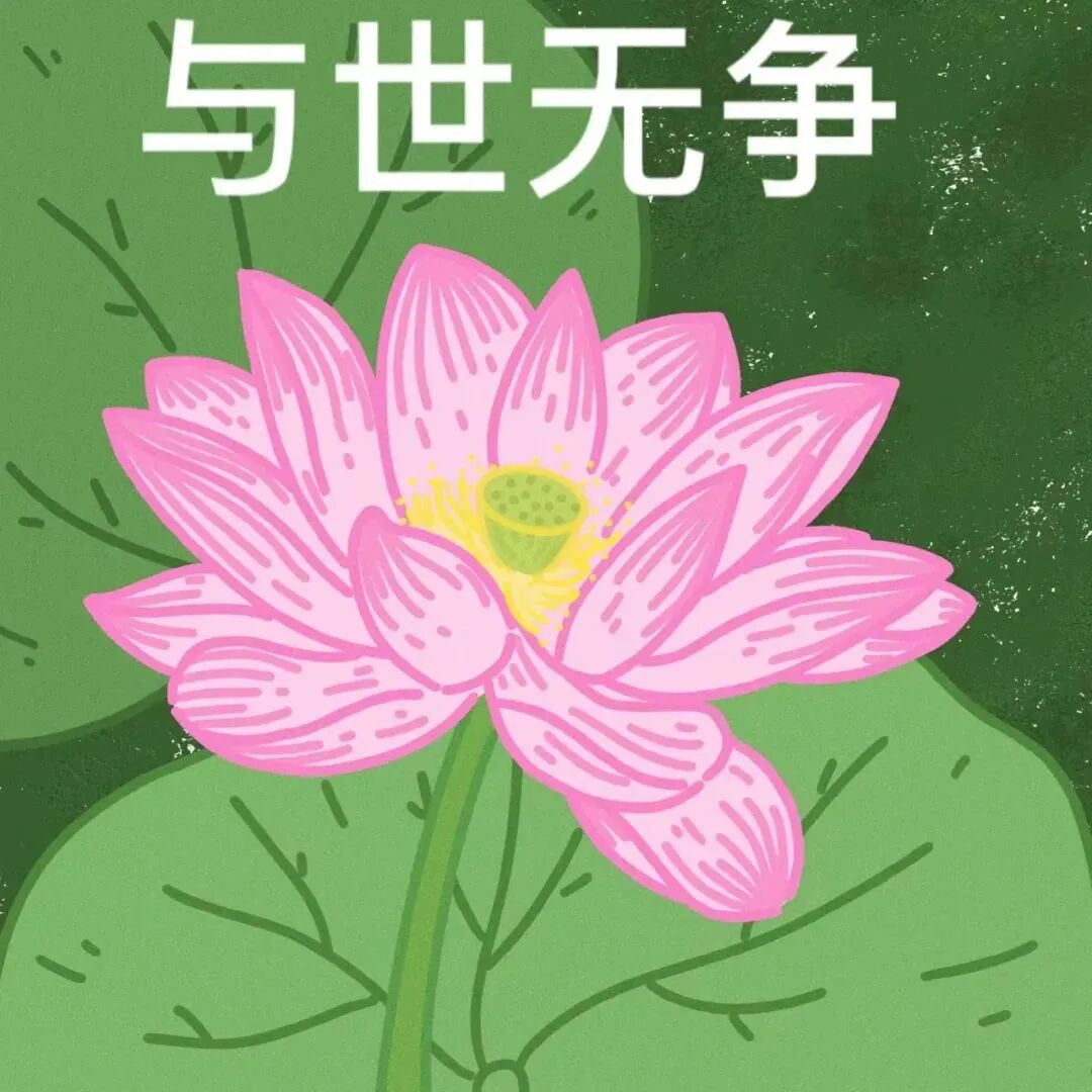 六人闺蜜头像荷花头像带字头像搞怪头像沙雕头像
