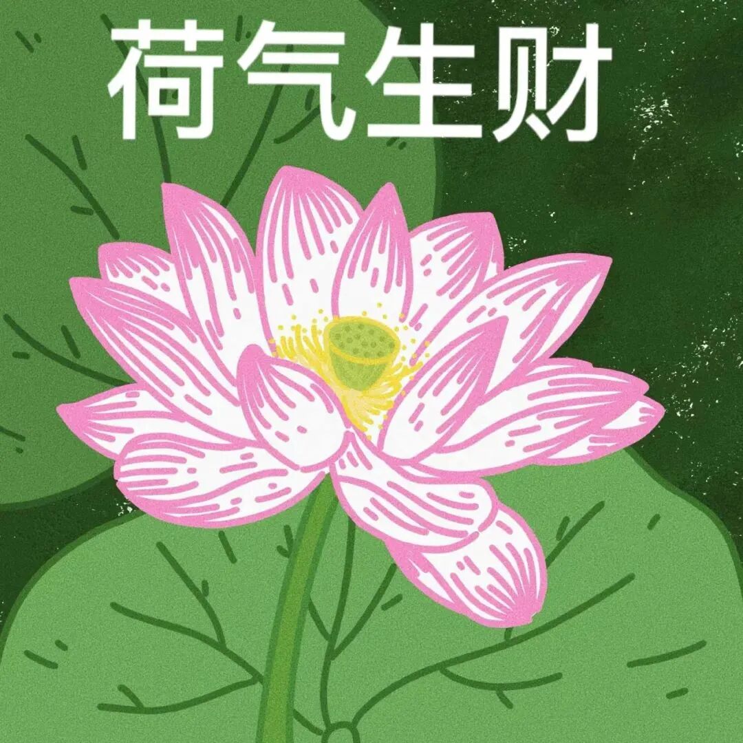 六人闺蜜头像荷花头像带字头像搞怪头像沙雕头像