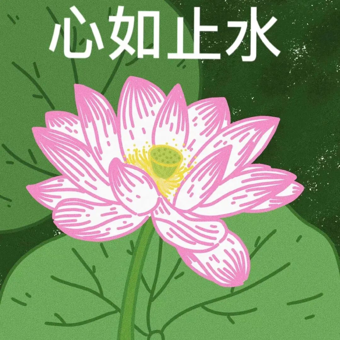 六人闺蜜头像荷花头像带字头像搞怪头像沙雕头像