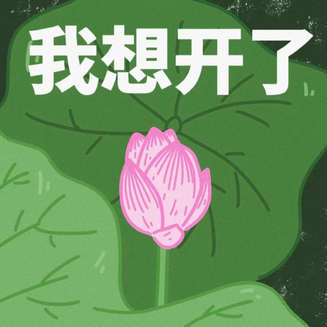六人闺蜜头像荷花头像带字头像搞怪头像沙雕头像