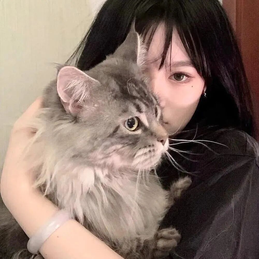 抱着猫咪甜妹女生头像
