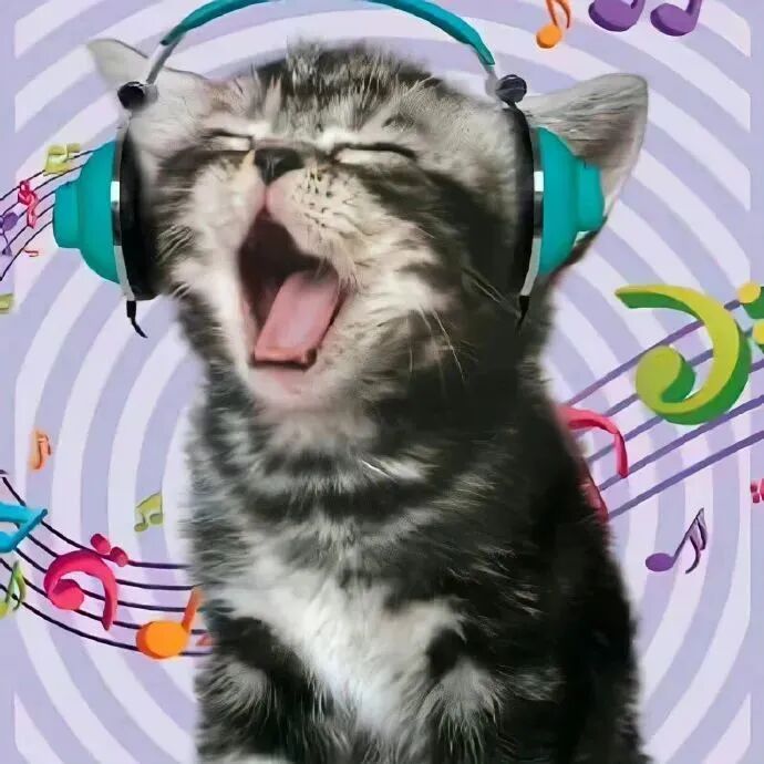 猫咪萌宠头像