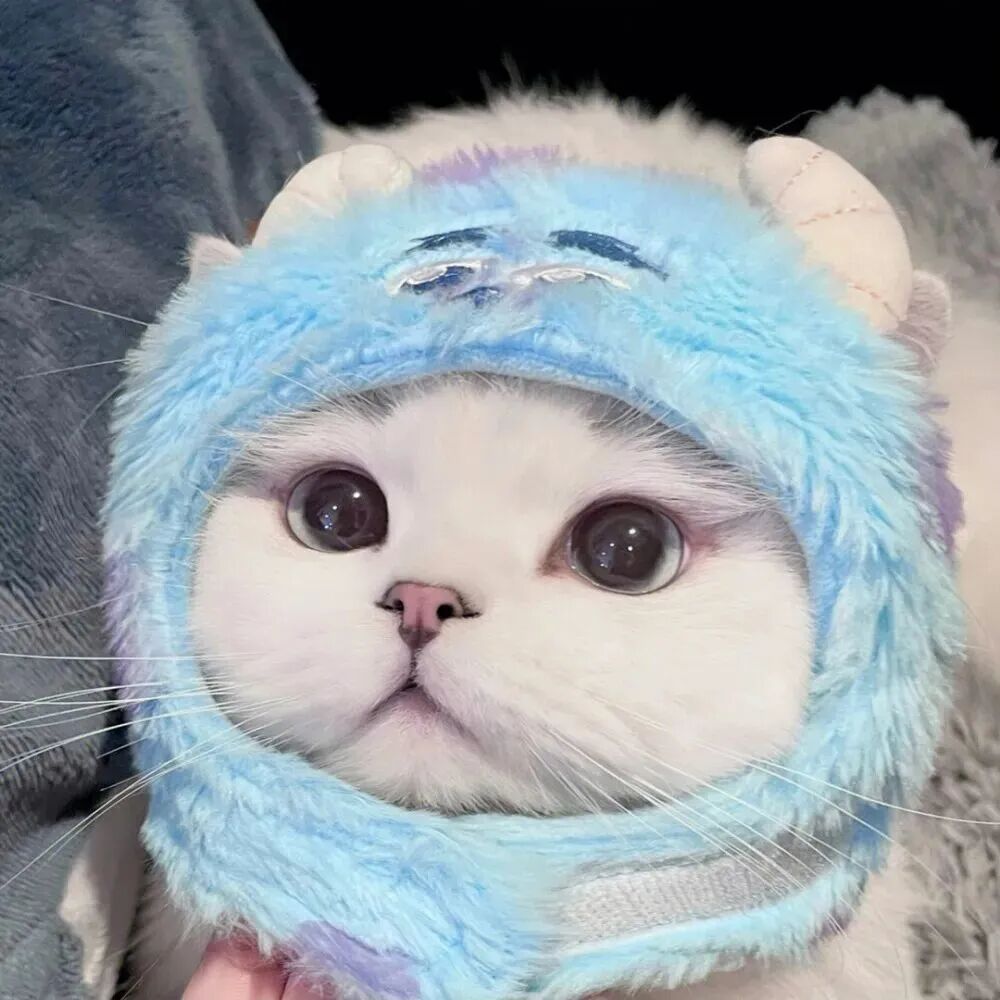 maomikeaiqltxb可爱猫咪情侣头像