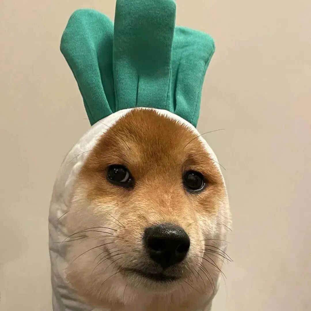 可爱狗狗萌宠头像