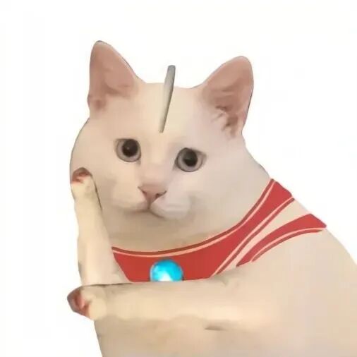 沙雕搞怪可爱猫咪白底萌宠头像