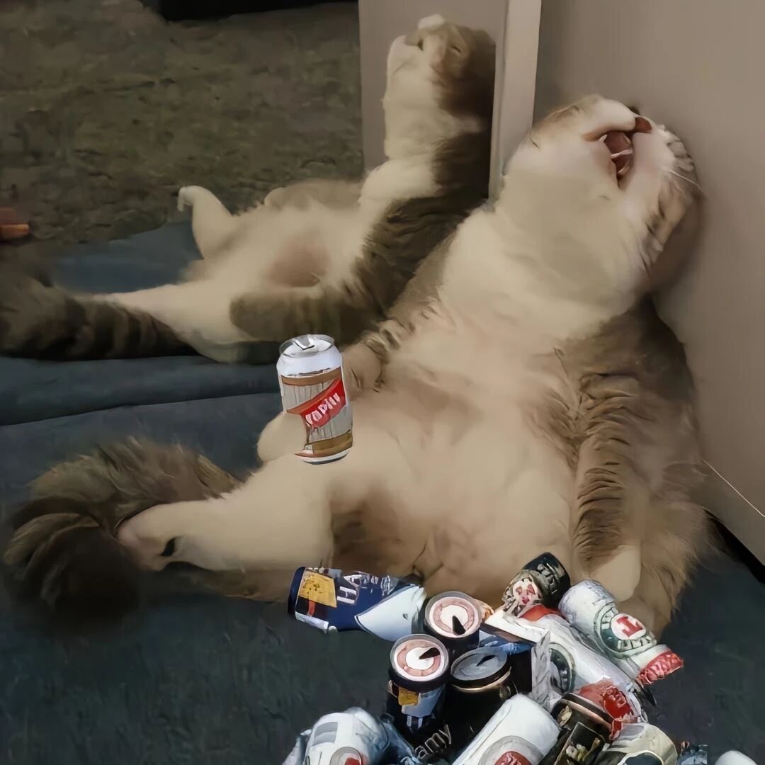 喝酒伤感猫咪萌宠头像