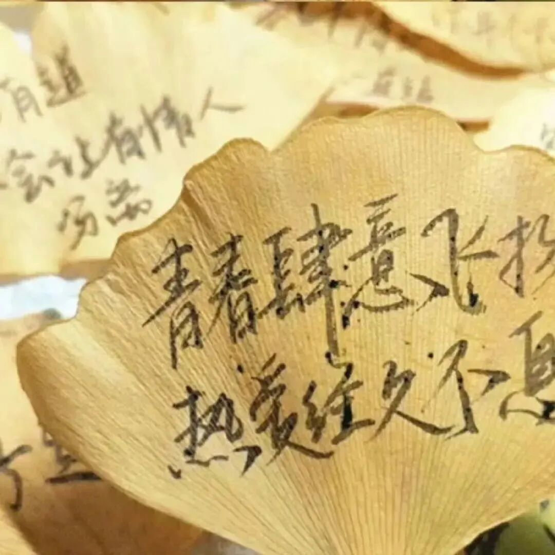 青春文字背景图
