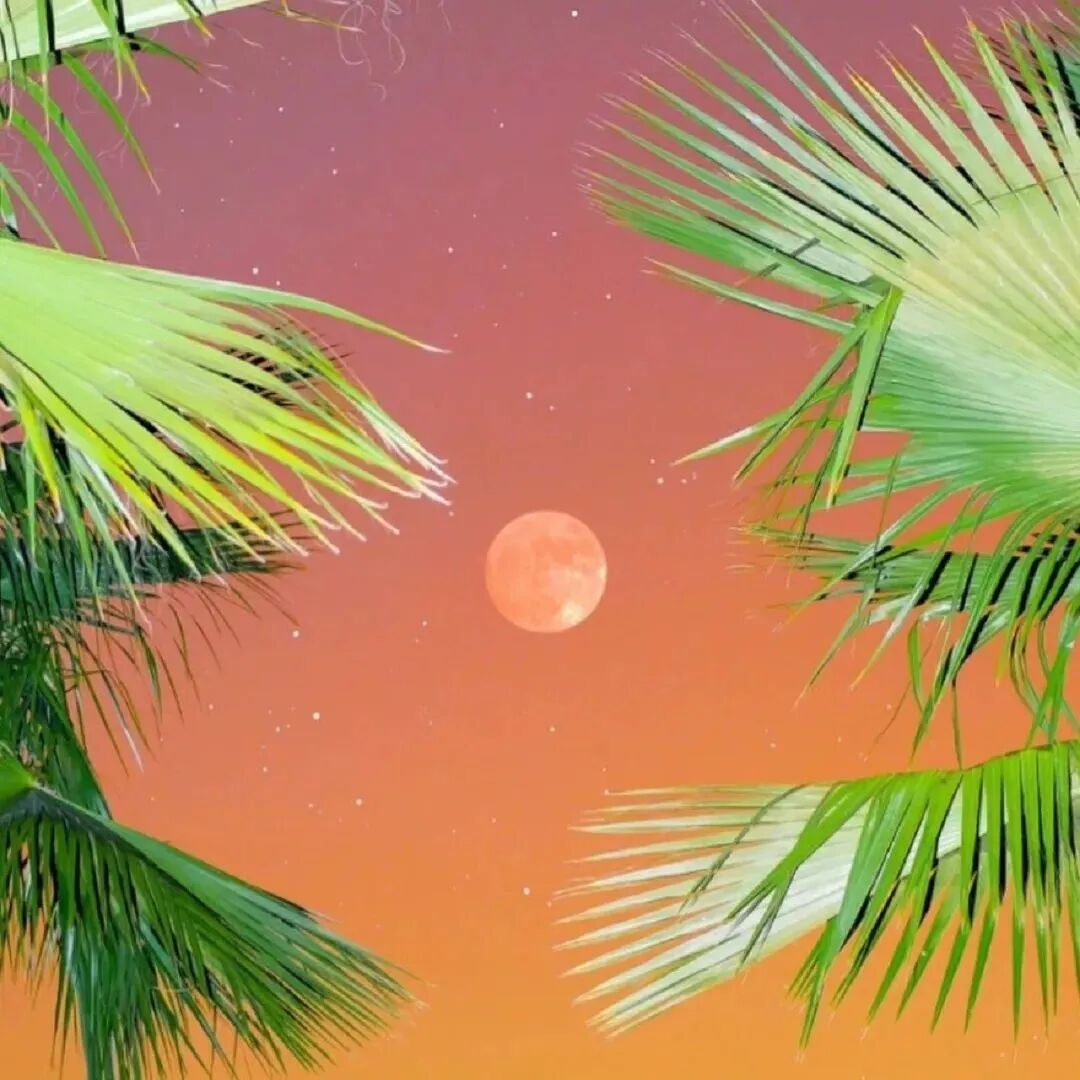 插画月亮背景图