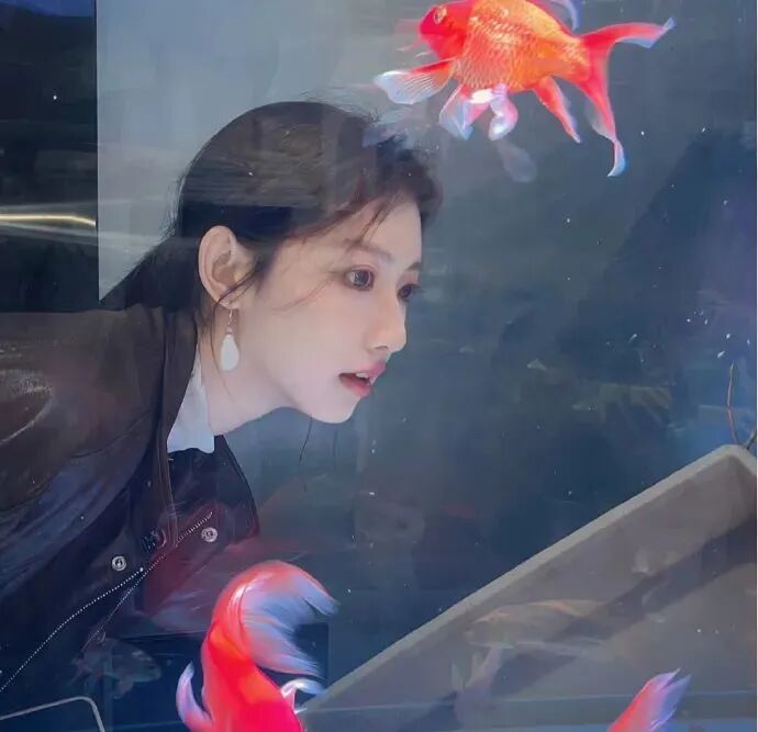 氛围感金鱼侧脸女生头像