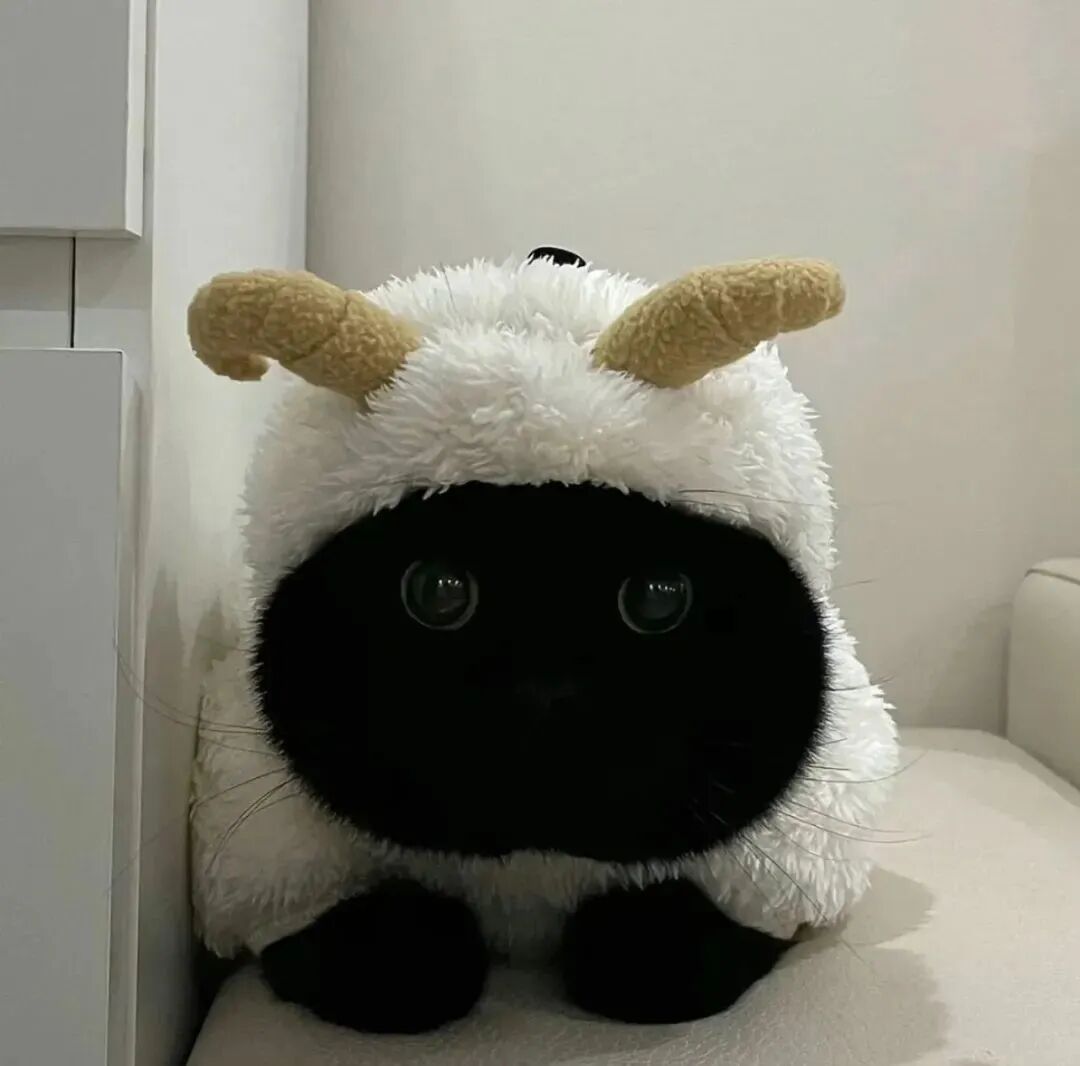 黑煤球猫咪萌宠头像