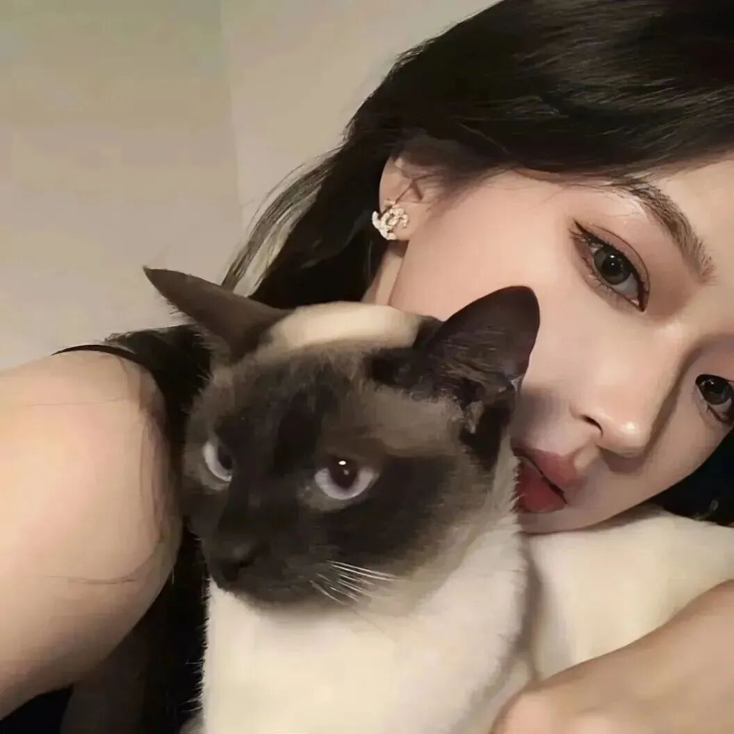 抱着猫咪女生头像