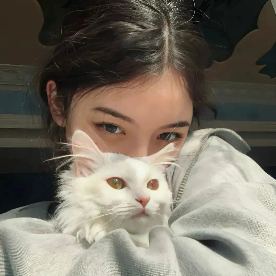 抱着猫咪女生头像