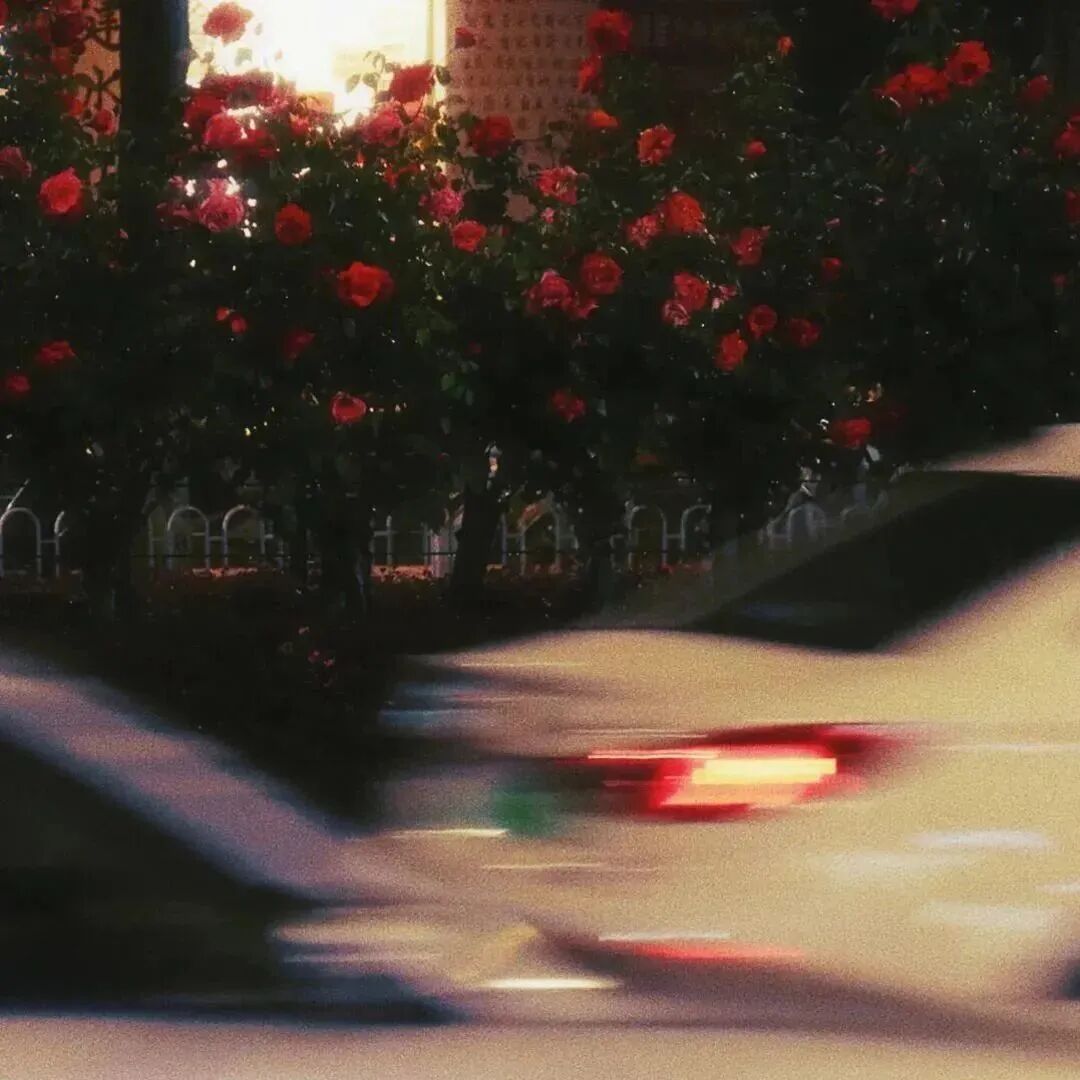 车鲜花背景图