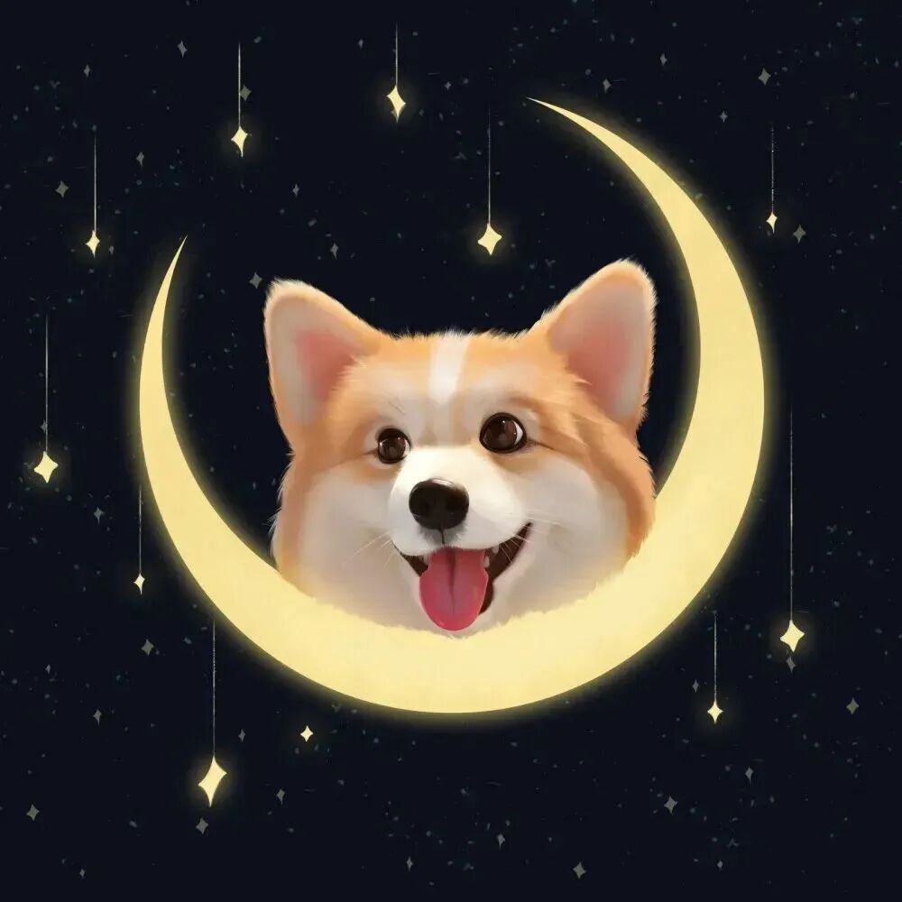 萌宠月亮卡通情侣头像