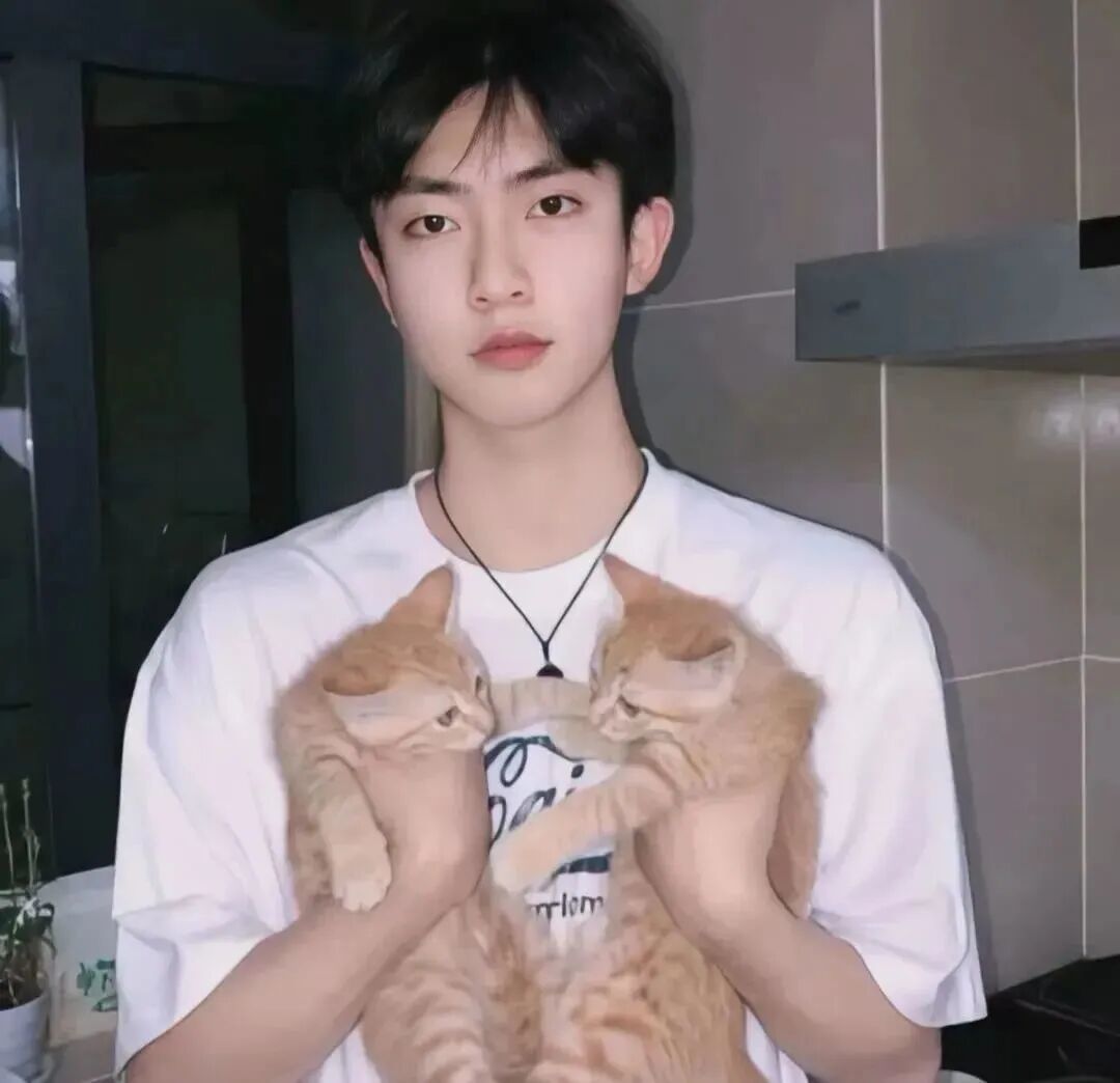 mibaqltx抱着猫咪真人情侣头像