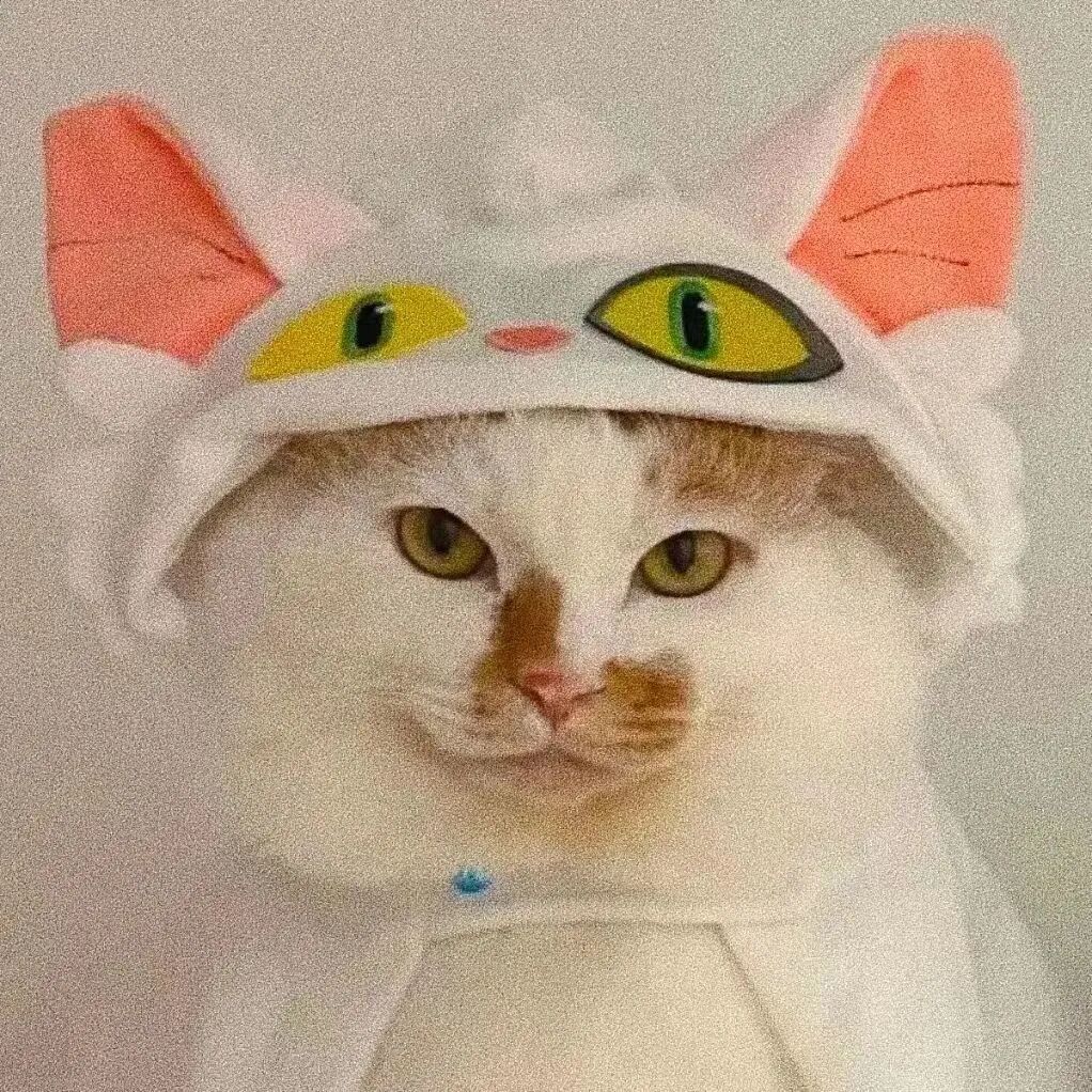 misdbaqltx沙雕搞怪猫咪情侣头像