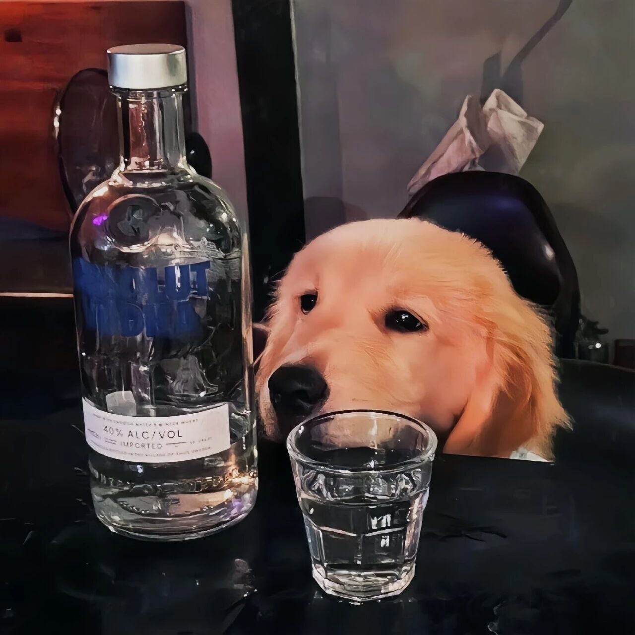 喝酒狗狗萌宠头像