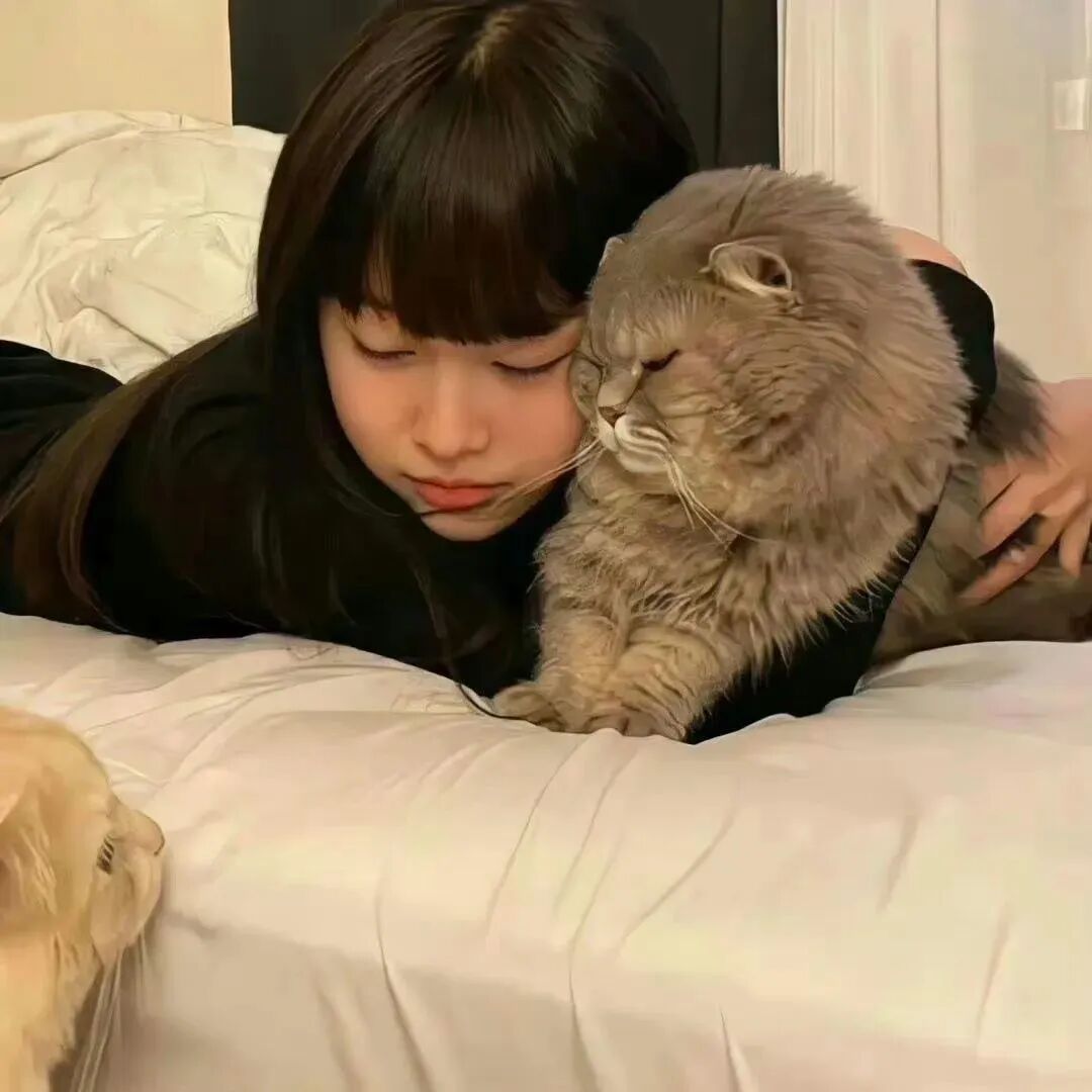 抱着猫咪甜妹女生头像