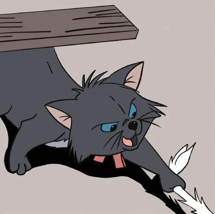 qltxoma猫咪卡通情侣头像