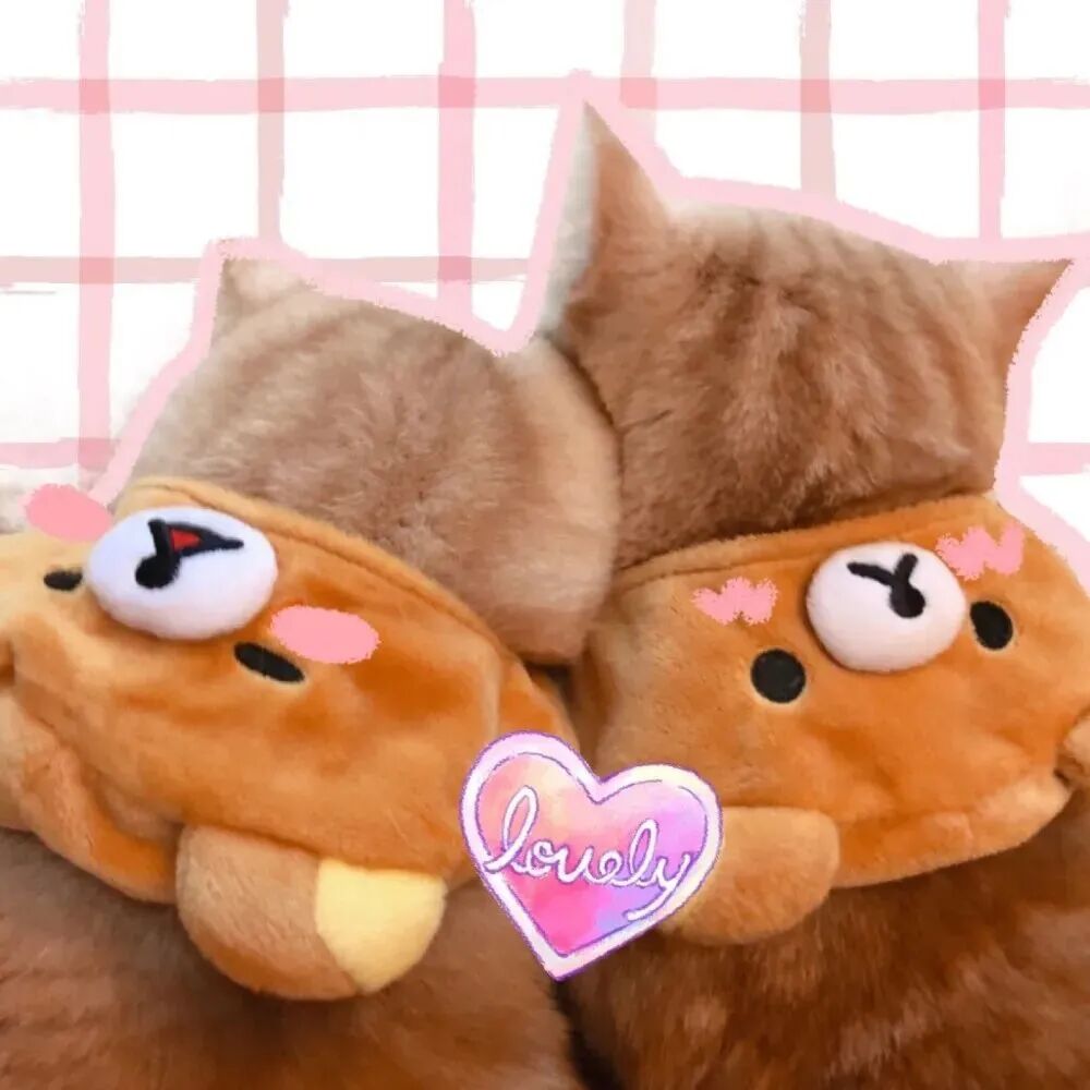 可爱猫咪情侣头像