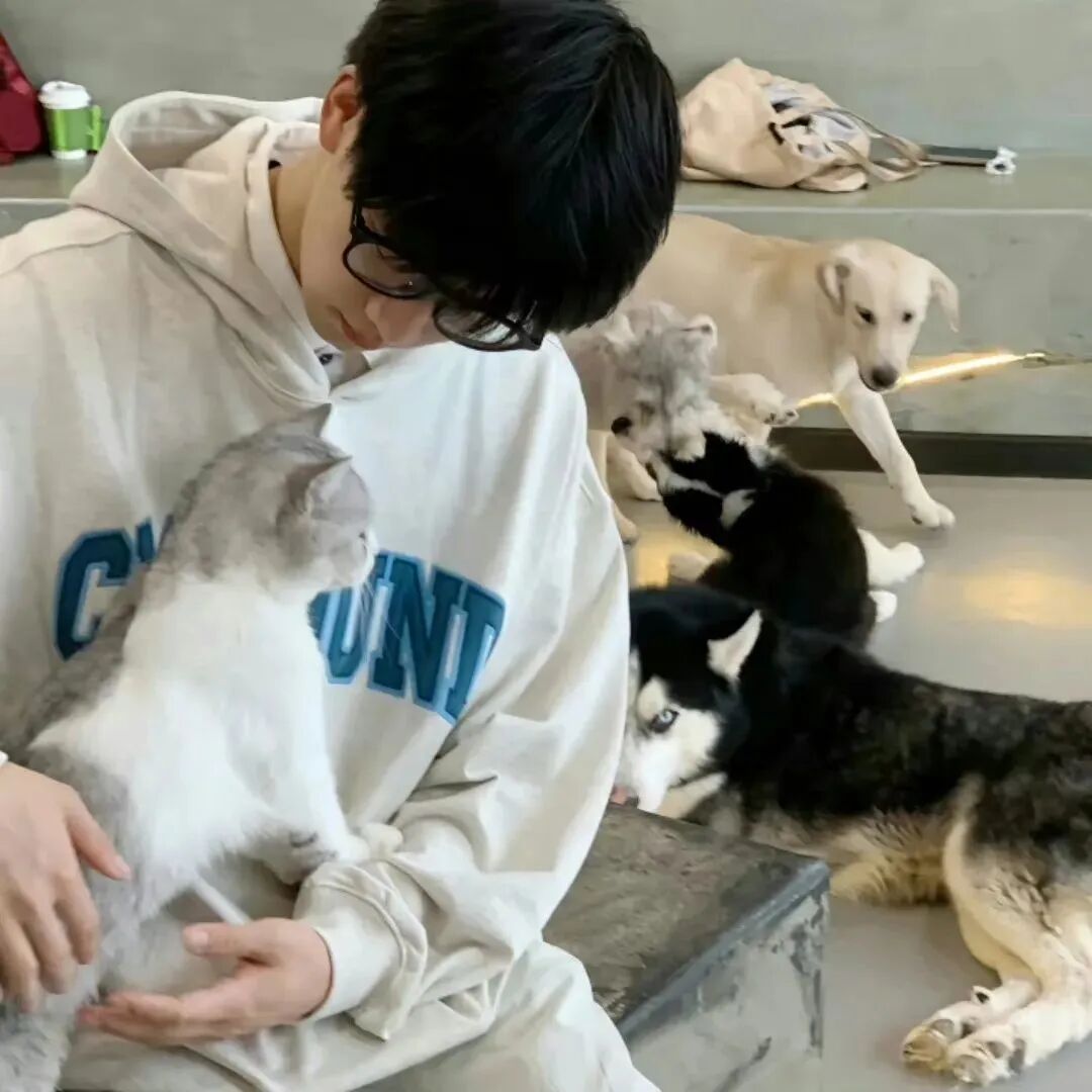 低着头抱着狗狗男生头像