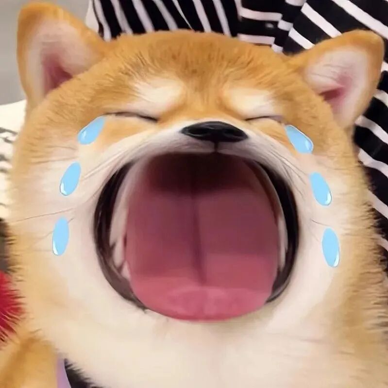 大冤种哭泣狗狗萌宠头像