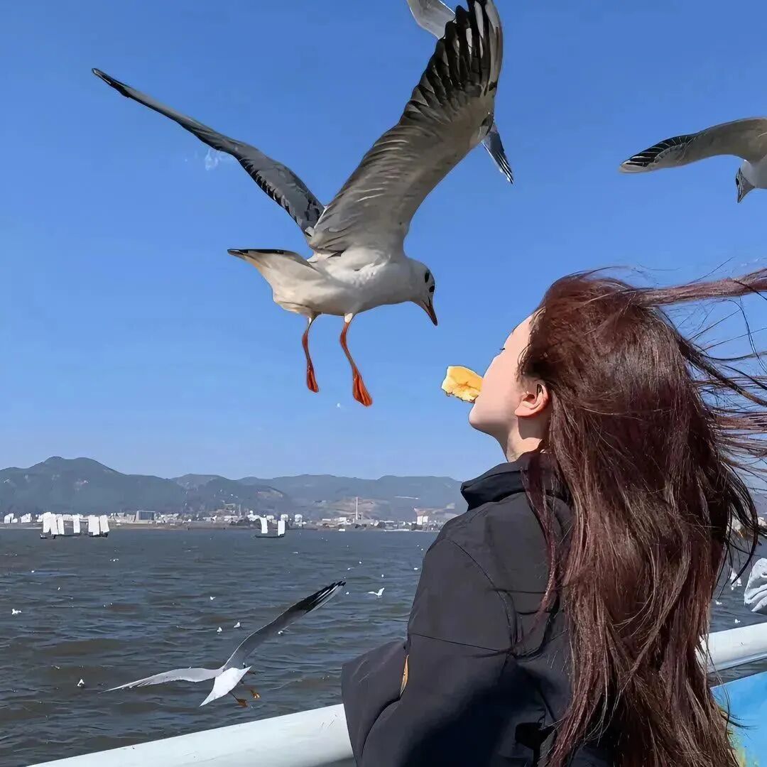 氛围感海边不露脸女生头像