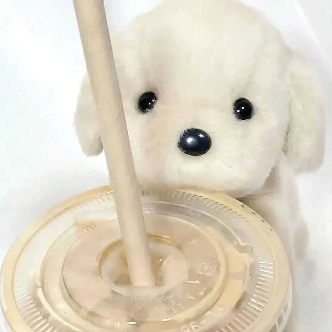 可爱狗狗萌宠头像