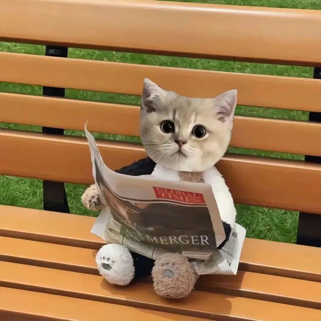 可爱猫咪萌宠头像
