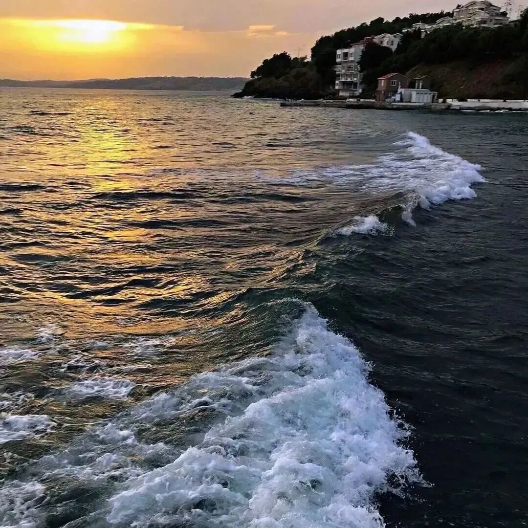 海边背景图