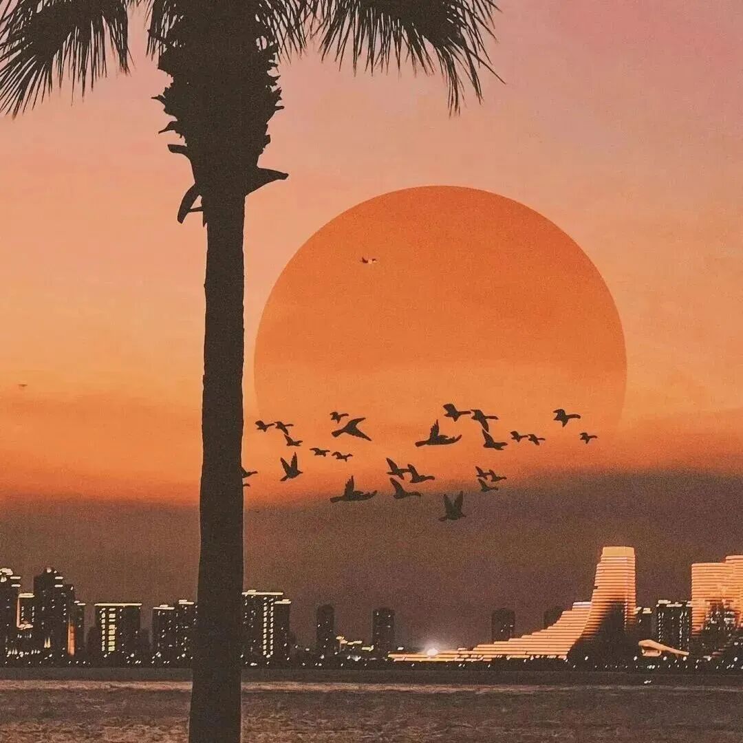 日落背景图