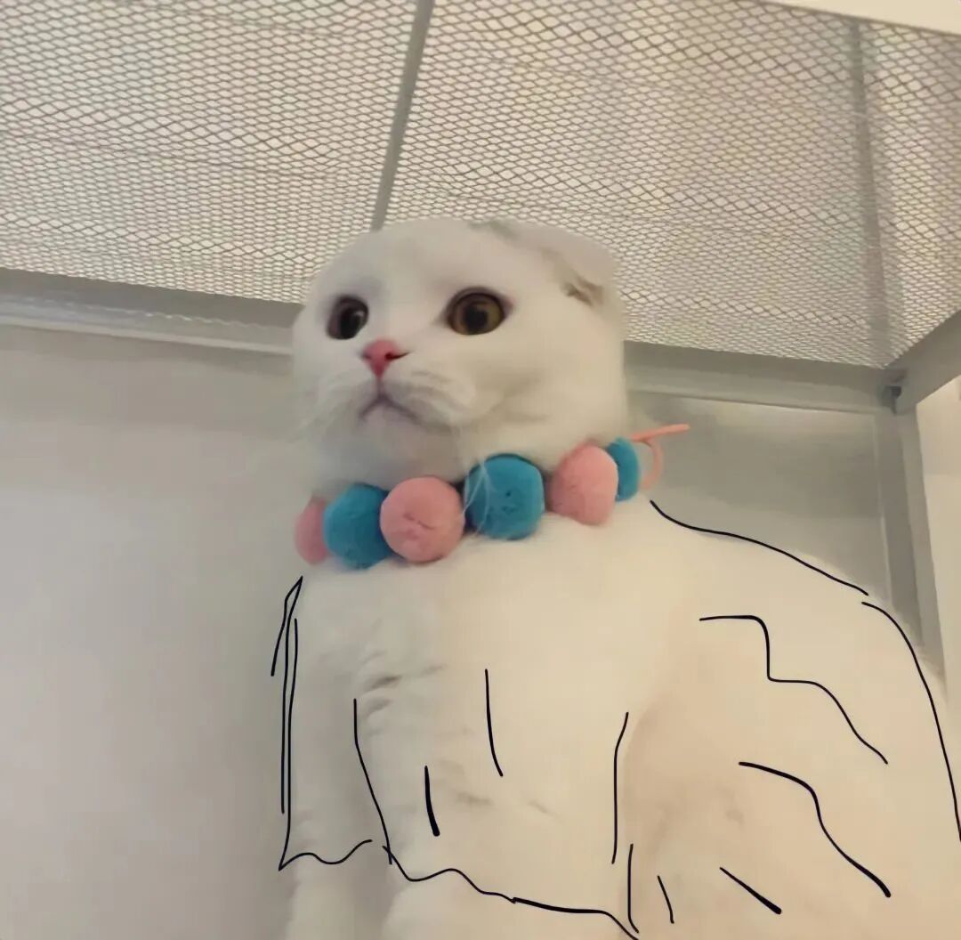 可爱猫咪情侣头像