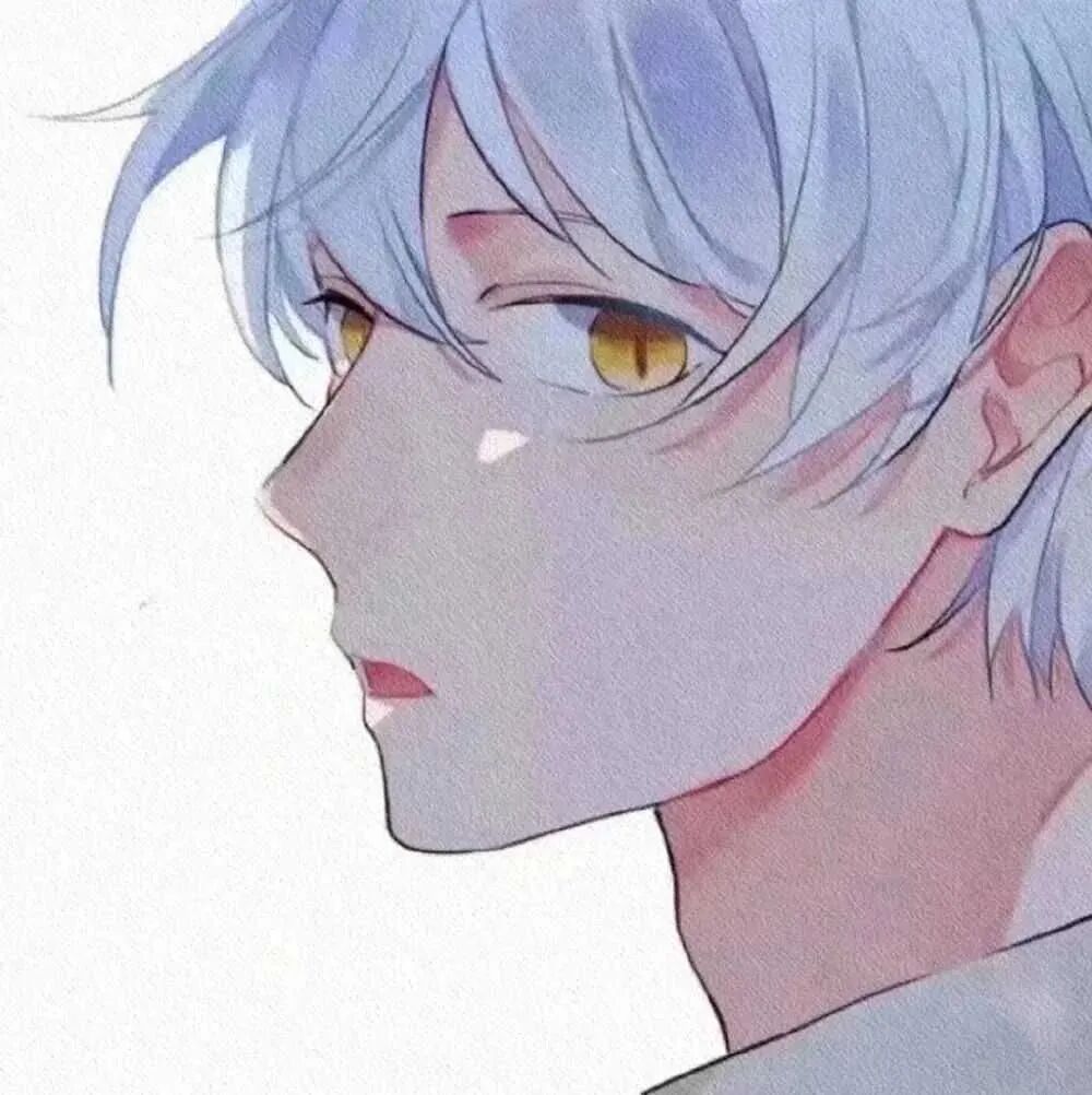 动漫头像男