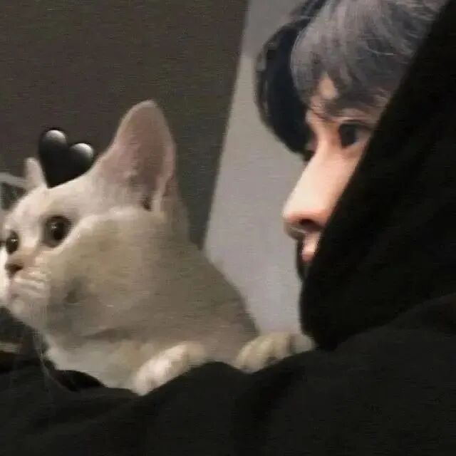 蔡徐坤头像侧脸男生头像