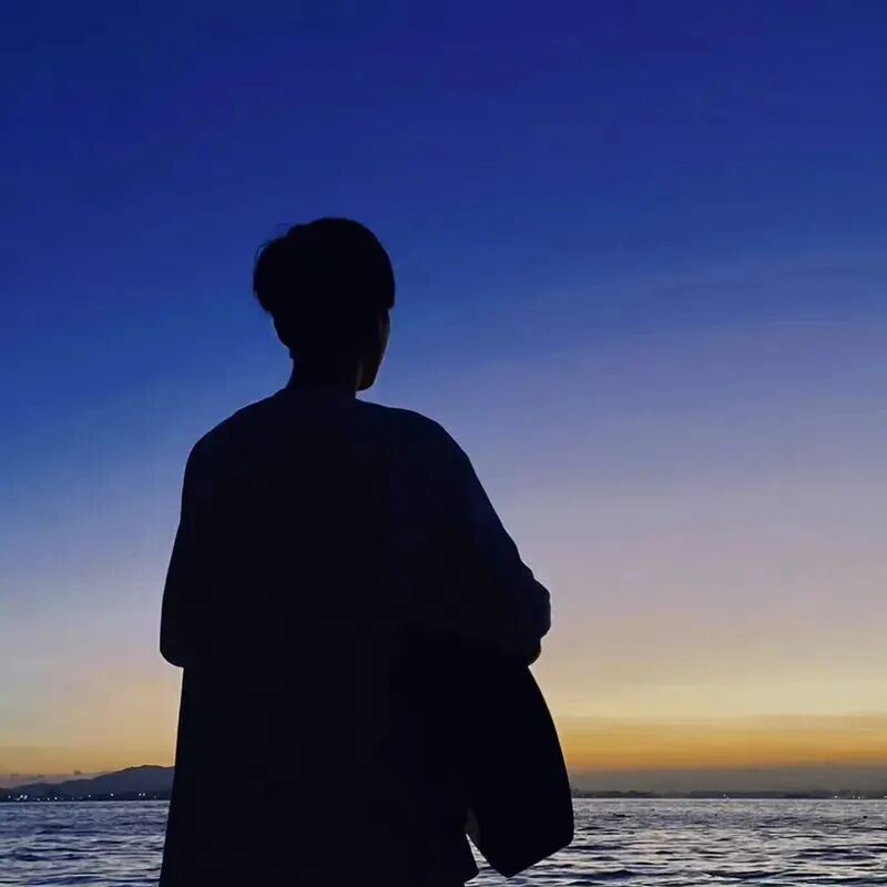 氛围感不露脸海边男生头像
