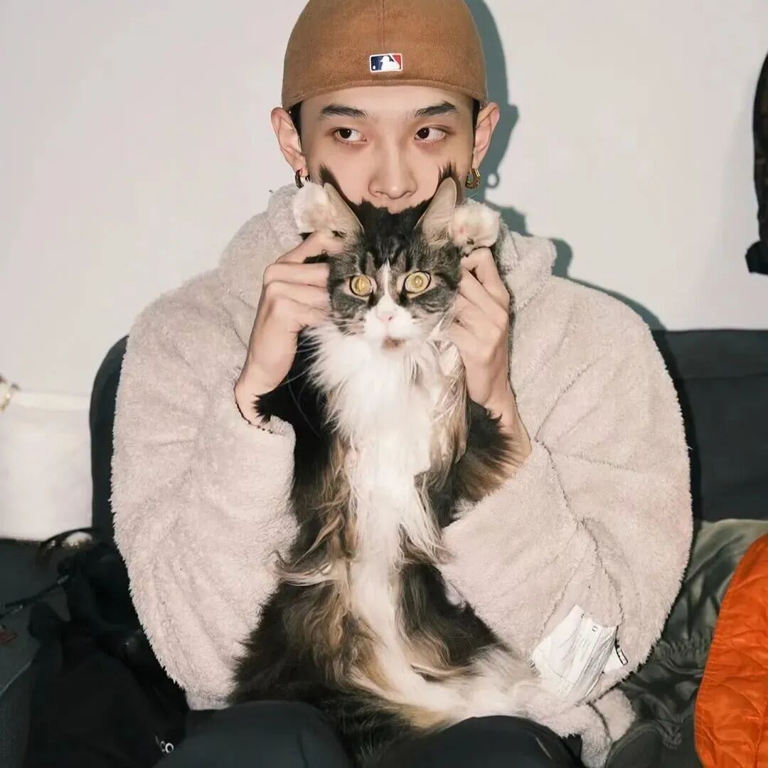 抱着猫咪小众男生头像