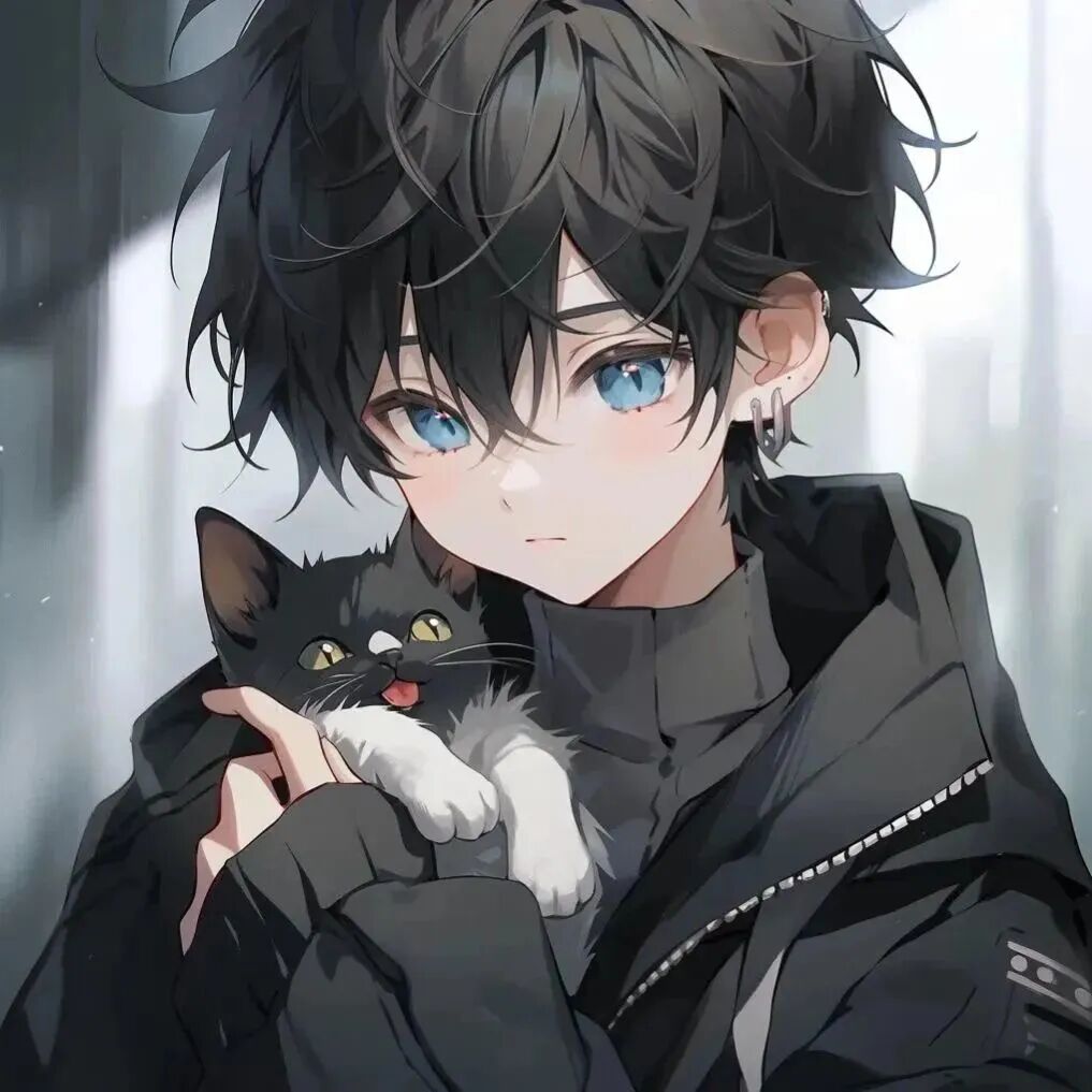 qltxmm抱着猫咪动漫情侣头像
