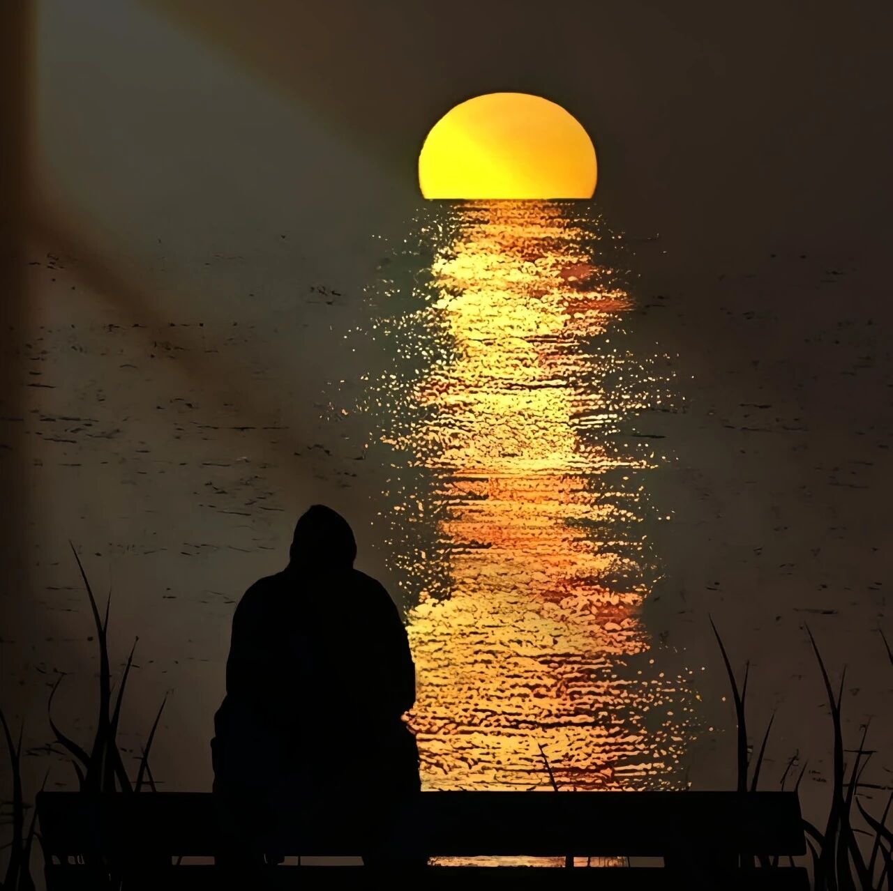氛围感孤独感海边日落夜晚不露脸男生头像